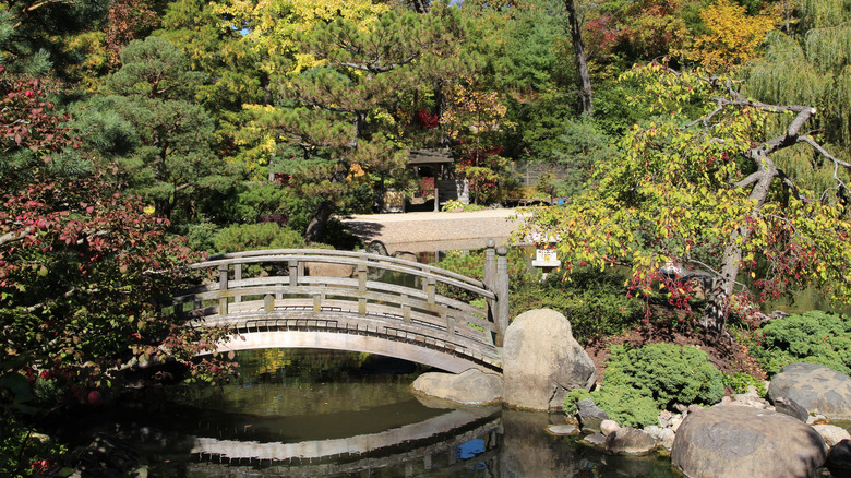 Bridge and greenery in Anderson Japanese Gardens