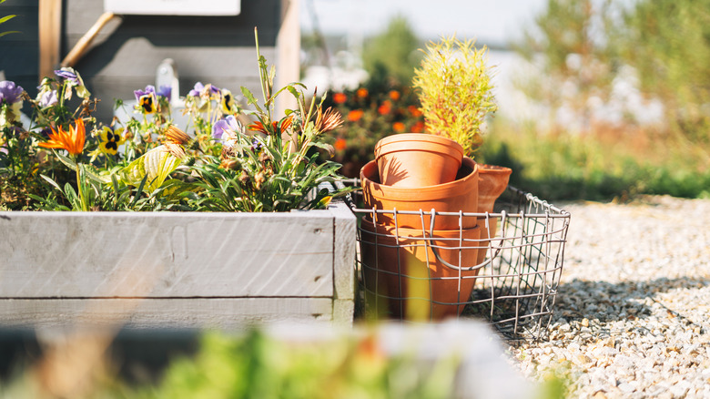 Flowers in a planter box with terra cotta pots next to them