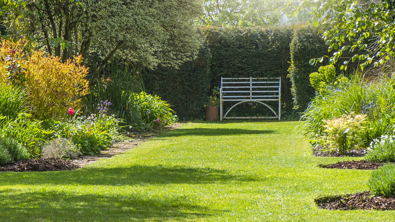garden with areas of sun and shade