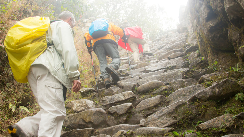 hikers climbing a wet stone staircase in fog