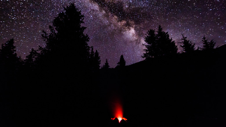 Campfire in Yosemite National Park
