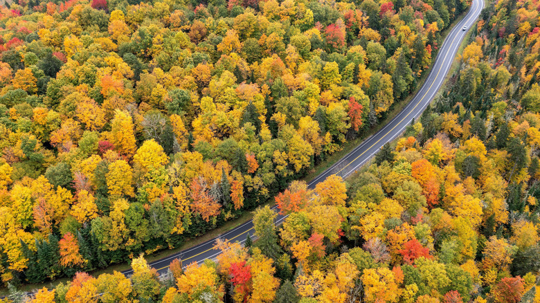 Sky view of autumn colors in New York