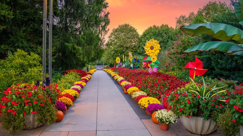 Path in Atlanta Botanical Garden lined with colorful flowers
