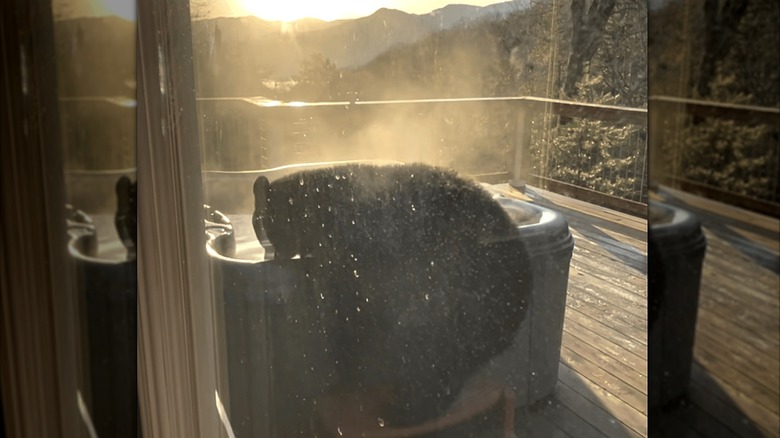 Bear climbing into hot tub on a deck