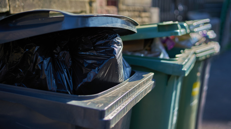 A row of overfilled garbage cans
