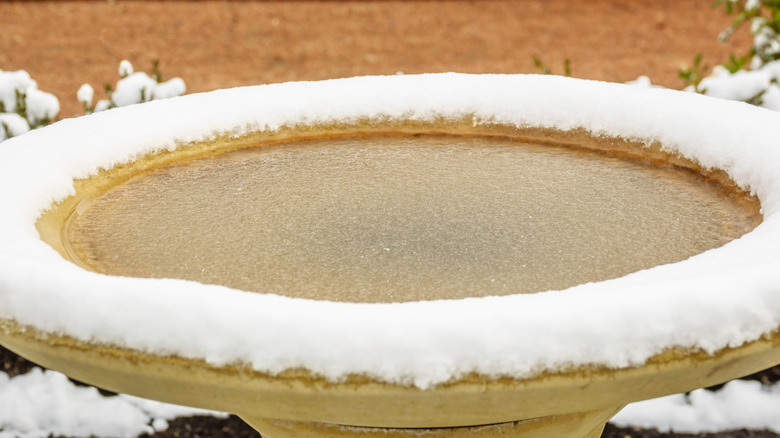 birdbath with slush and ice