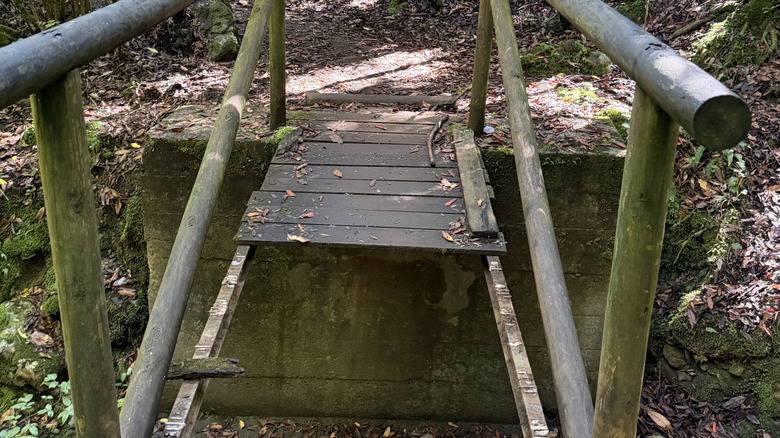 Bridge on hiking trail with missing planks