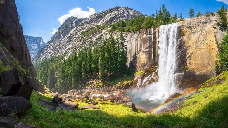 A cascading waterfall in Yosemite National Park