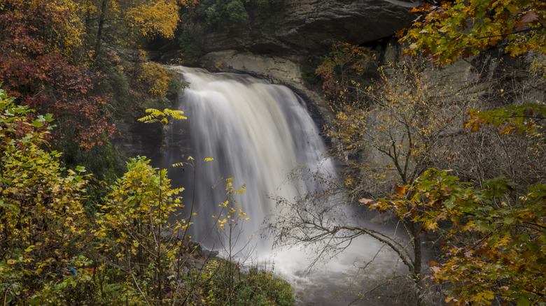 Looking Glass Falls in Pisgah National Forest