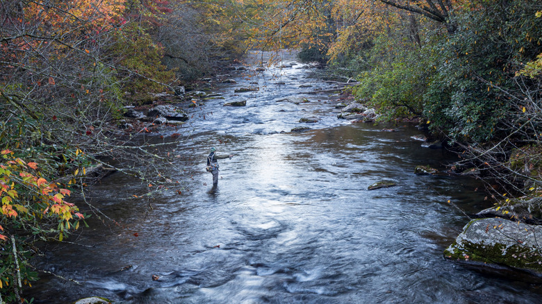 Fisherman casts a fly on a North Carolina stream