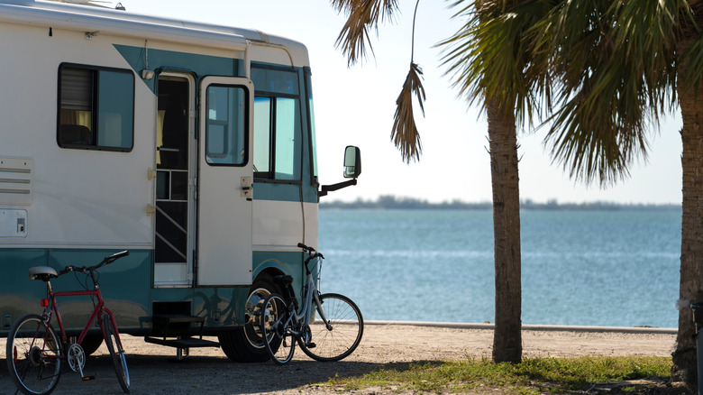 RV by palm trees on sandy beach