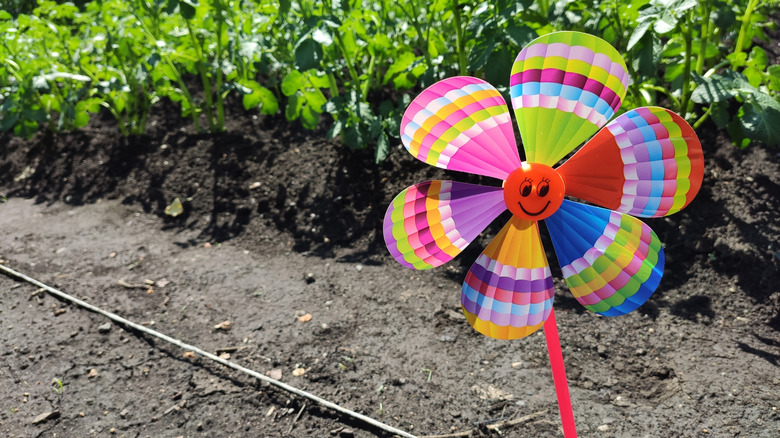 Using a wind spinner to keep birds away from a garden