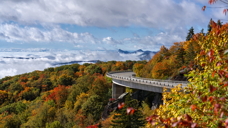 Fall colors off highway in Asheville, NC