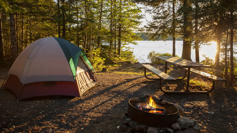 A tent campsite near the water with a campfire