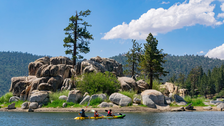 A group of people kayaking in a bay, big boulders and trees in the background