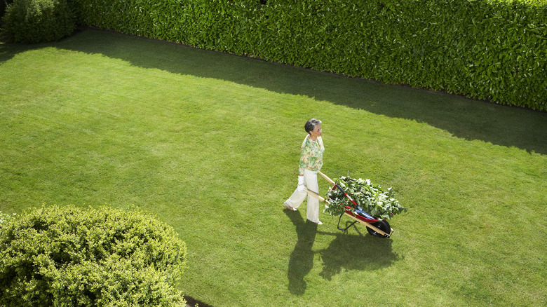 Woman walking with wheelbarrow on green lawn