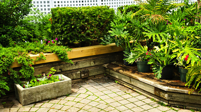 Wooden garden retaining wall patio