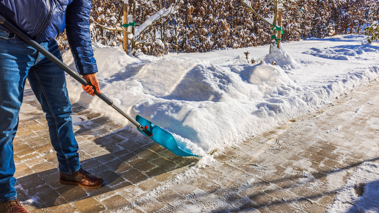 Person removing snow with a shovel