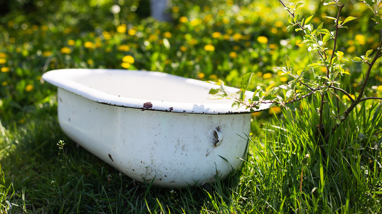 An old bathtub sitting in a yard