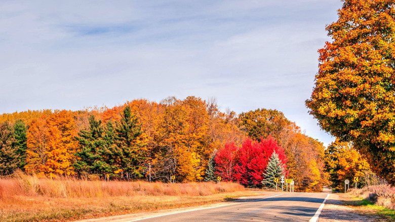 M-119 in northern Michigan during fall