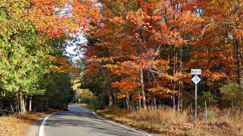 M-119 in northern Michigan during fall