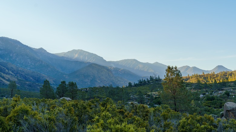 Sequoia National park just south of Woodlake