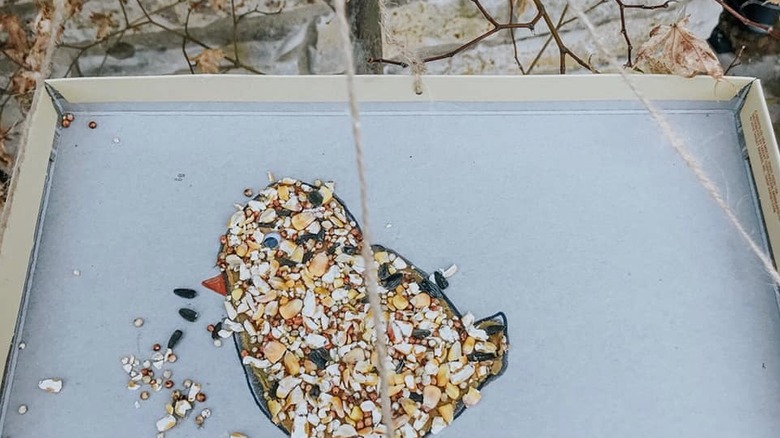 A bird feeder made from a shoebox lid