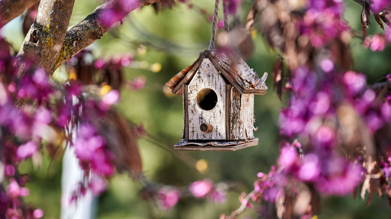 Tiny birdhouse hanging from a tree