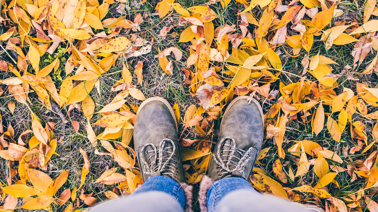 Standing on fallen leaves in Autumn