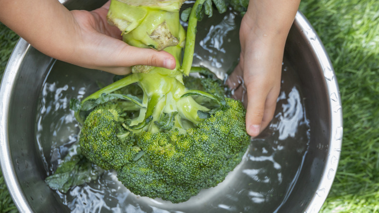 Child washing broccoli outside in a bucket