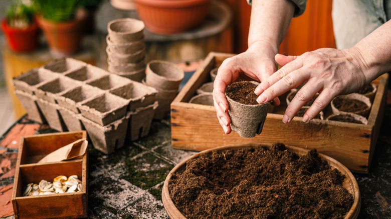 A gardener working with fresh potting soil