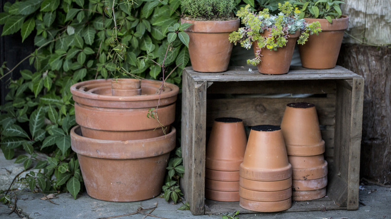 Stacks of terracotta plant pots in a garden