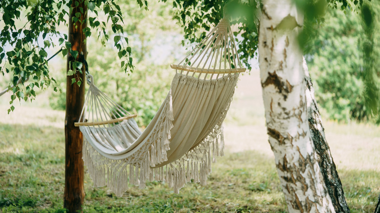 A frilly white hammock hanging between trees