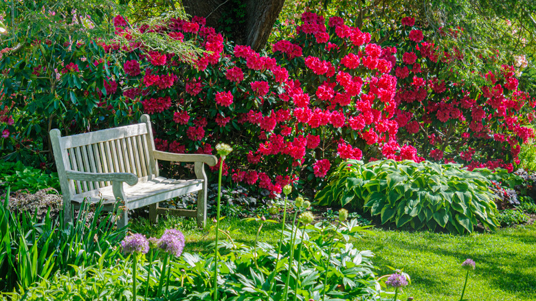 A garden bench in a beautiful, colorful garden
