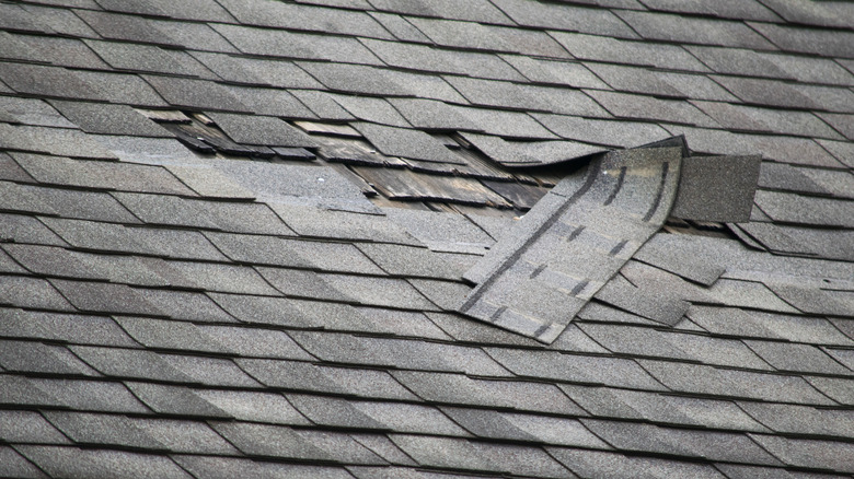 Damaged shingles on a roof