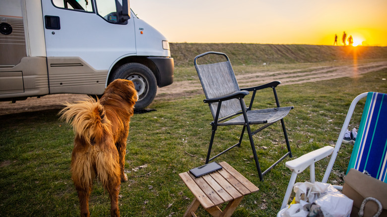 Dog standing outside of RV