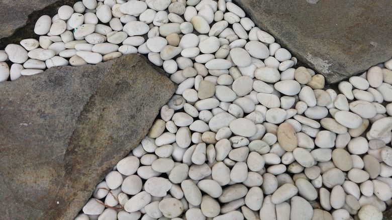 Smooth, light-colored pebbles between slabs of flat rock