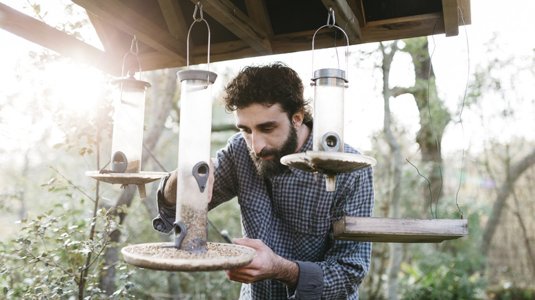 Man checking on hanging bird feeders