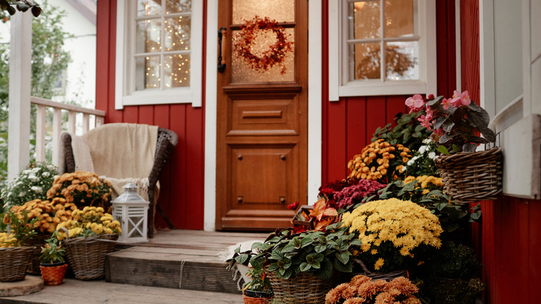 Pots of flowers and plants on porch