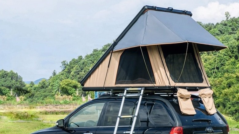 Trustmade Scout Max rooftop tent on top of a black vehicle with a ladder.
