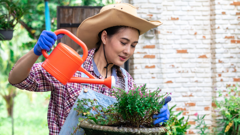 Woman with a small watering can