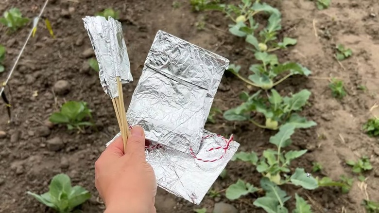 Person holding foil squares to use in the garden