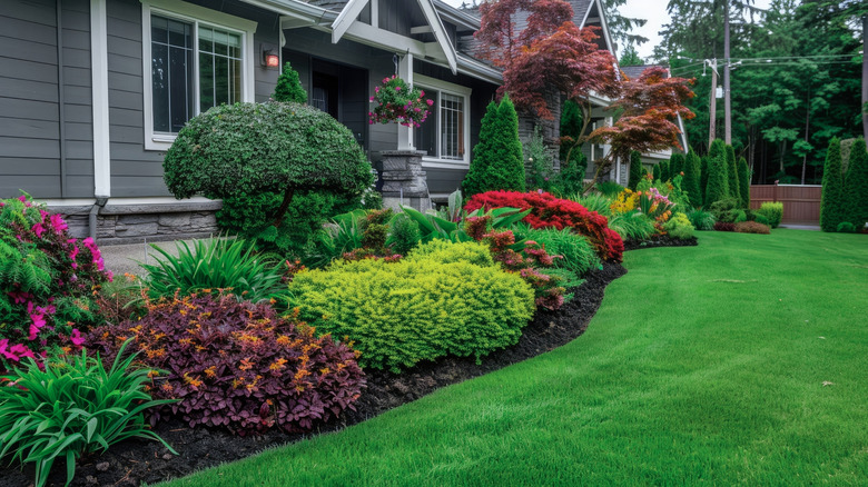 A well-maintained lawn
