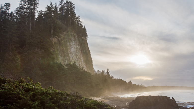 Beach outside of Masset
