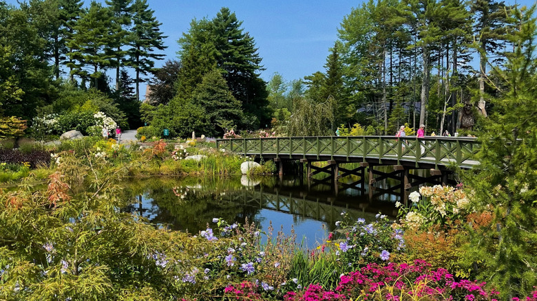 People on bridge at Coastal Maine Botanical Gardens