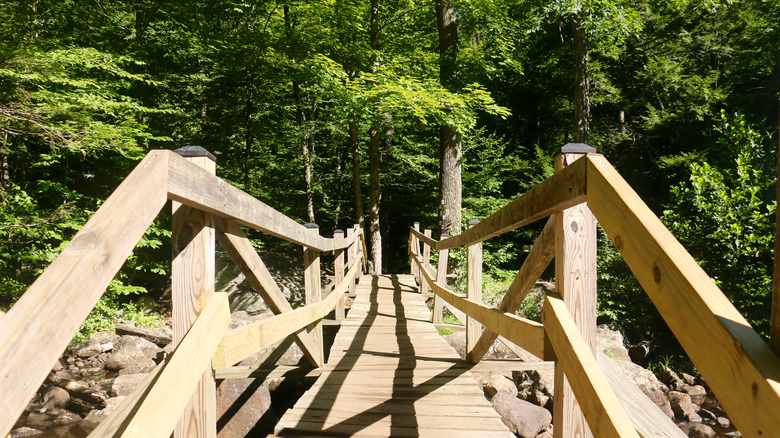 Pathway stairs in Harriman State Park