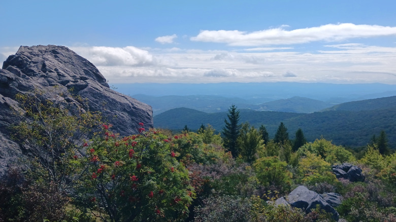 Mount Rogers wilderness area in Virginia