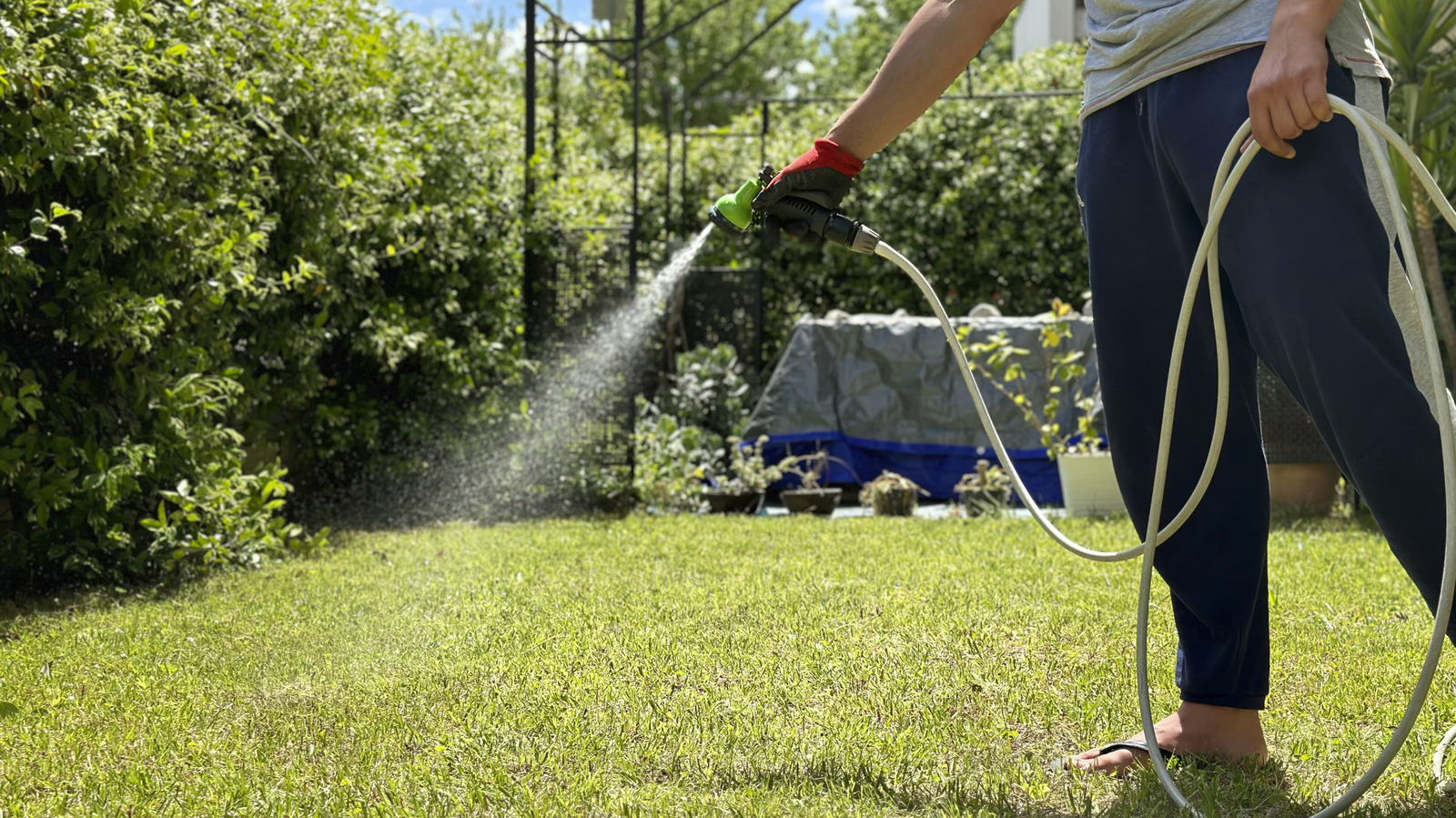 Watering Tips That'll Help Your Grass Seed Thrive In The Heat