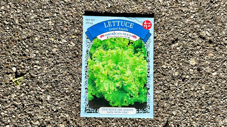 An American Seed Company 'Grand Rapids' lettuce seed packet