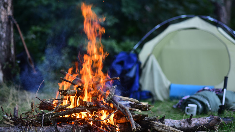 Campfire in front of tent